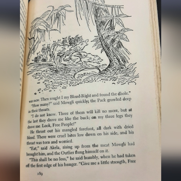 All The Mowgli Stories by Rudyard Kipling 1895 Junior Deluxe Edition Hardcover - Picture 9 of 10